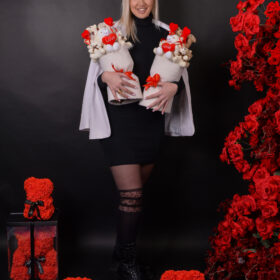BSB_1242
